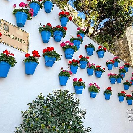 Idyllic Townhouse In Marbella Old Town Villa Kültér fotó